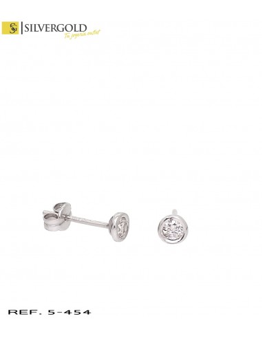 1-5-454-1-D-Pendientes oro blanco 18Kt. y diamante L2734