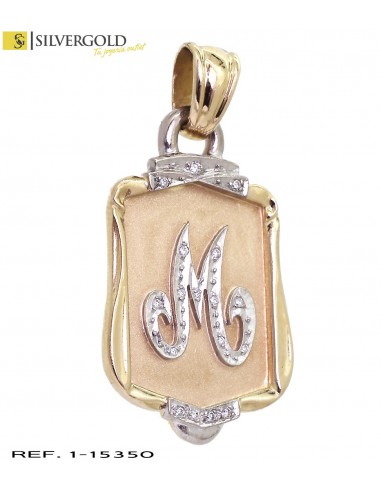 1-1-15350-1-D-Chapa oro bicolor 18Kt. y diamantes